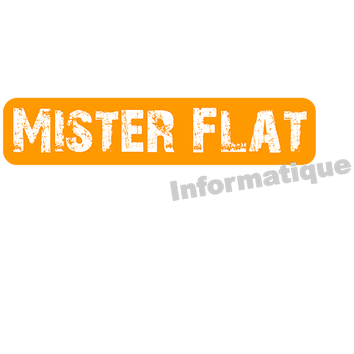 Logo Mister Flat Informatique